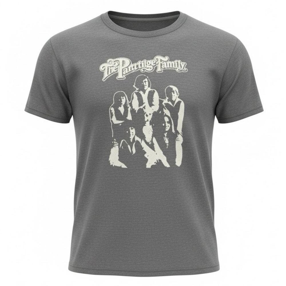Vintage The Partridge Family Graphic T-Shirt Medium Hanes Heavyweight 50/50 Gray